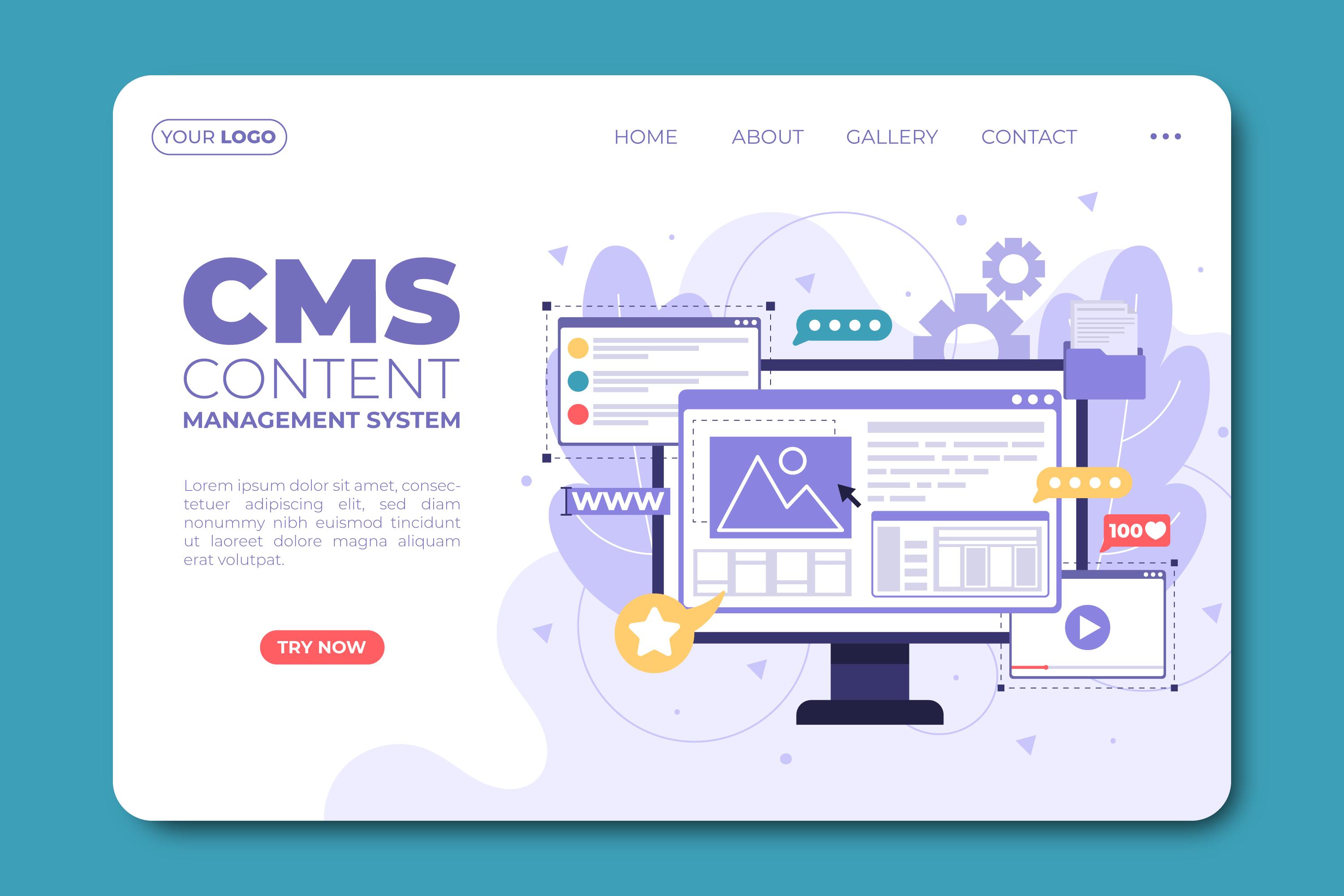 Web Development